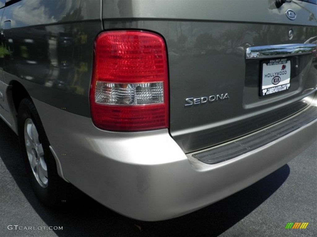 2004 Sedona EX - Sage Green / Gray photo #14
