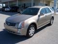 2004 Cashmere Metallic Cadillac SRX V6  photo #2