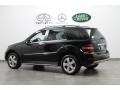 Black - ML 350 4Matic Photo No. 5