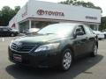 Spruce Mica - Camry LE Photo No. 1