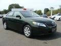 Spruce Mica - Camry LE Photo No. 3