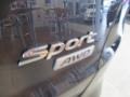 Marlin Blue - Santa Fe Sport AWD Photo No. 5