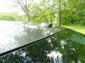 Carbon Bronze Metallic - TL 3.2 Photo No. 31