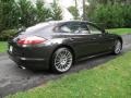 Carbon Grey Metallic - Panamera 4 Photo No. 6