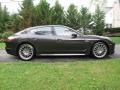 Carbon Grey Metallic - Panamera 4 Photo No. 7