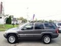 2004 Dark Khaki Pearl Jeep Grand Cherokee Limited 4x4  photo #4