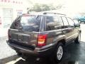 2004 Dark Khaki Pearl Jeep Grand Cherokee Limited 4x4  photo #7