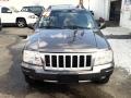 2004 Dark Khaki Pearl Jeep Grand Cherokee Limited 4x4  photo #9