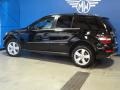Black - ML 350 4Matic Photo No. 5
