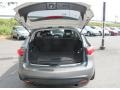 Platinum Graphite - FX 35 AWD Photo No. 9