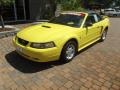 2001 Zinc Yellow Metallic Ford Mustang V6 Convertible #70570580