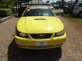 2001 Zinc Yellow Metallic Ford Mustang V6 Convertible  photo #7