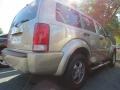 Light Sandstone Metallic - Nitro SE Photo No. 3