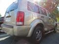 2010 Light Sandstone Metallic Dodge Nitro SE  photo #3