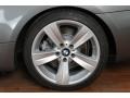 2008 Space Grey Metallic BMW 3 Series 335i Coupe  photo #33