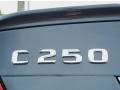 2013 Steel Grey Metallic Mercedes-Benz C 250 Coupe  photo #4