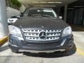 Steel Grey Metallic - ML 350 Photo No. 2