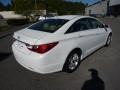 Shimmering White - Sonata GLS Photo No. 7