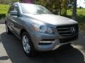 Palladium Silver Metallic - ML 350 4Matic Photo No. 1