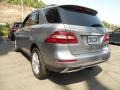 Palladium Silver Metallic - ML 350 4Matic Photo No. 10