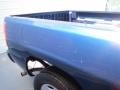 2001 Indigo Blue Metallic Chevrolet Silverado 1500 LS Regular Cab  photo #16