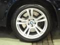 2011 Carbon Black Metallic BMW X5 M M xDrive  photo #33