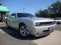 Bright Silver Metallic - Challenger SE Photo No. 2