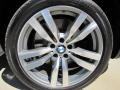 2011 BMW X6 M M xDrive Wheel and Tire Photo