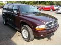 2003 Deep Molten Red Pearlcoat Dodge Durango SLT 4x4  photo #14