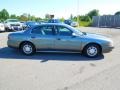 Steelmist Gray Metallic - LeSabre Custom Photo No. 3