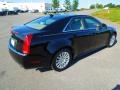 Black Raven - CTS 3.0 Sedan Photo No. 6