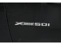 2009 Black Sapphire Metallic BMW X6 xDrive50i  photo #10