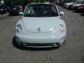 Aquarius Blue - New Beetle GLS Convertible Photo No. 2