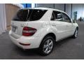 Arctic White - ML 350 4Matic Photo No. 6