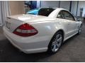2009 Diamond White Metallic Mercedes-Benz SL 550 Roadster  photo #6