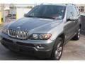 Sterling Grey Metallic - X5 4.4i Photo No. 3