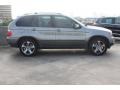Sterling Grey Metallic - X5 4.4i Photo No. 6