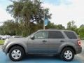 2009 Sterling Grey Metallic Ford Escape XLT  photo #2