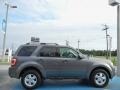 2009 Sterling Grey Metallic Ford Escape XLT  photo #6