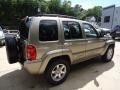 Light Khaki Metallic - Liberty Limited 4x4 Photo No. 4