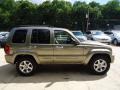 Light Khaki Metallic - Liberty Limited 4x4 Photo No. 5