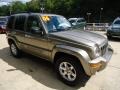 Light Khaki Metallic - Liberty Limited 4x4 Photo No. 6
