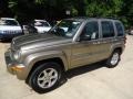 Light Khaki Metallic - Liberty Limited 4x4 Photo No. 8