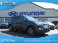 Marlin Blue - Santa Fe Sport Photo No. 1