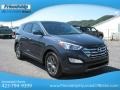 Marlin Blue - Santa Fe Sport Photo No. 5