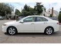 Premium White Pearl - TSX Sedan Photo No. 6