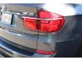Platinum Gray Metallic - X5 xDrive 35i Photo No. 23
