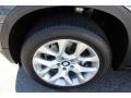 Platinum Gray Metallic - X5 xDrive 35i Photo No. 33