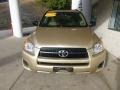 Sandy Beach Metallic - RAV4 4WD Photo No. 6