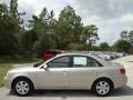 Camel Pearl - Sonata GLS Photo No. 2